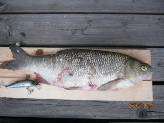 S�yne 1,00 kg