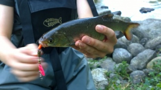 S�yne 500 g