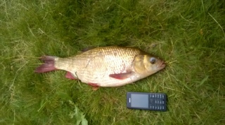 S�yne 1,40 kg
