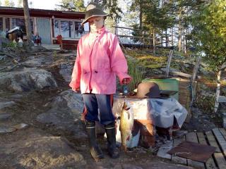 S�yne 1,65 kg
