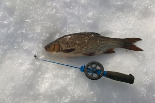 S�yne 400 g