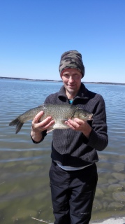 S�yne 1,80 kg