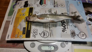 Seipi 75 g