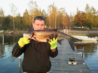 Toutain 3,22 kg