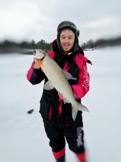Siika 1,70 kg