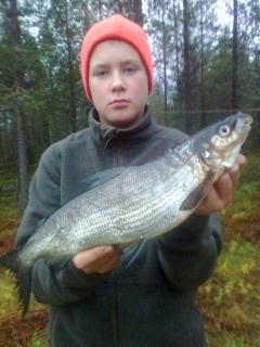 Siika 1,02 kg