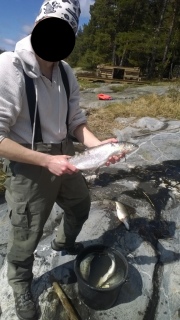 Siika 1,02 kg