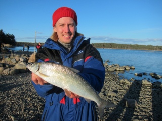 Siika 580 g