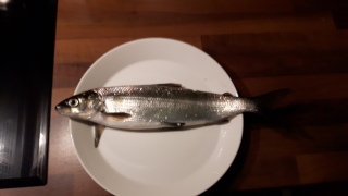 Siika 420 g