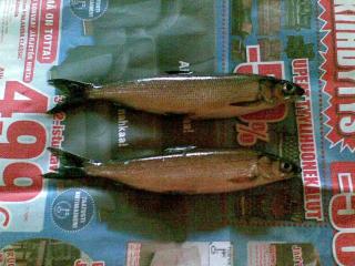 Siika 400 g