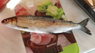 Siika 133 g