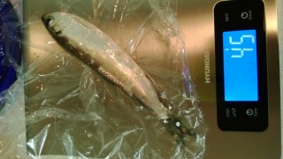 Silakka 45 g
