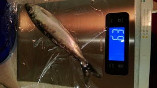 Silakka 63 g
