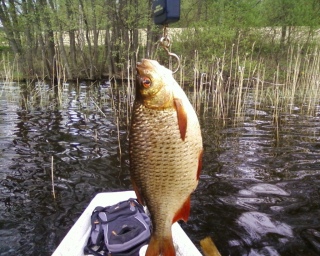 Sorva 410 g
