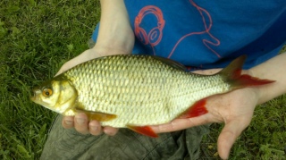 Sorva 400 g