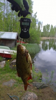 Sorva 380 g