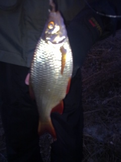 Sorva 270 g