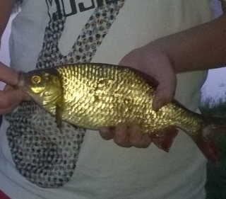Sorva 400 g