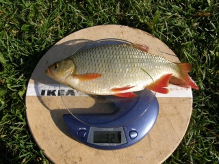 Sorva 327 g