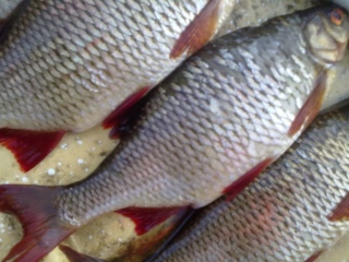 Sorva 350 g