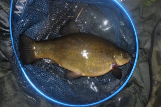 Suutari 2,16 kg