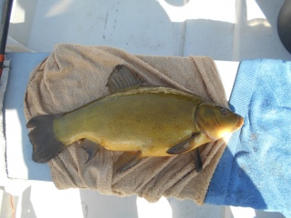 Suutari 2,00 kg