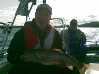 J�rvitaimen 2,80 kg