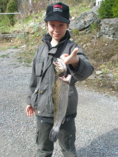 Taimen 800 g