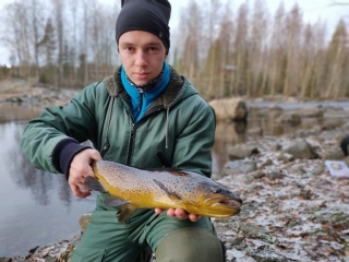 Taimen 1,10 kg