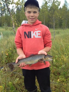 Taimen 1,12 kg