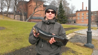 Taimen 1,15 kg