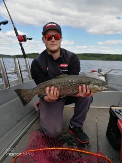 J�rvitaimen 3,80 kg