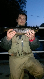 Taimen 1,10 kg