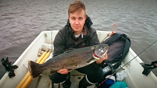 Taimen 2,72 kg