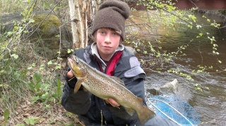 Taimen 1,10 kg