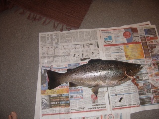 Taimen 3,27 kg