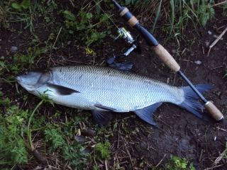 Toutain 2,50 kg
