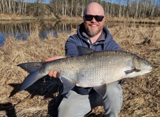 Toutain 5,56 kg