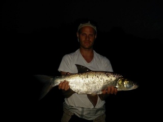 Toutain 4,50 kg