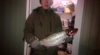 Toutain 2,24 kg