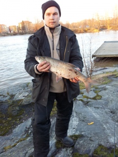 Toutain 1,70 kg