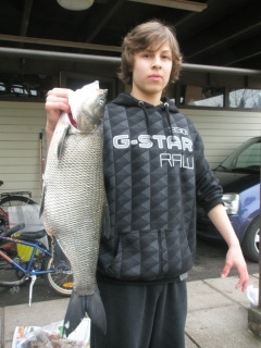 Toutain 4,50 kg