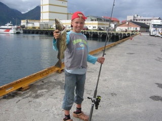 Turska 1,50 kg
