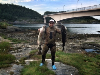 Turska 8,18 kg