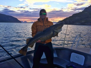Turska 11,90 kg