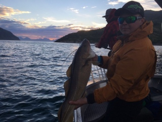 Turska 7,30 kg