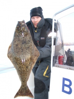Ruijan pallas 6,00 kg