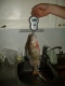 Ahven 750 g