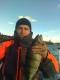 Ahven 1,24 kg
