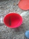 Ahven 450 g